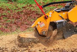 Best Lot and Land Clearing  in Stuart, FL