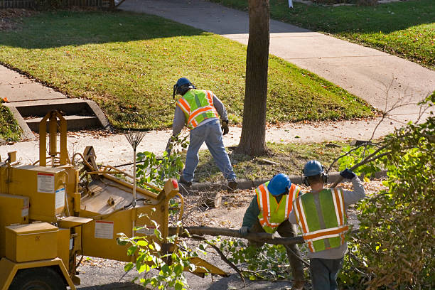 Best Commercial Tree Services  in Stuart, FL