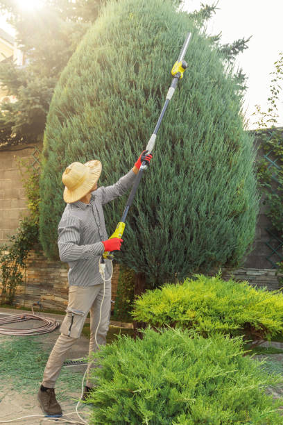 Best Lawn Irrigation Installation and Maintenance  in Stuart, FL